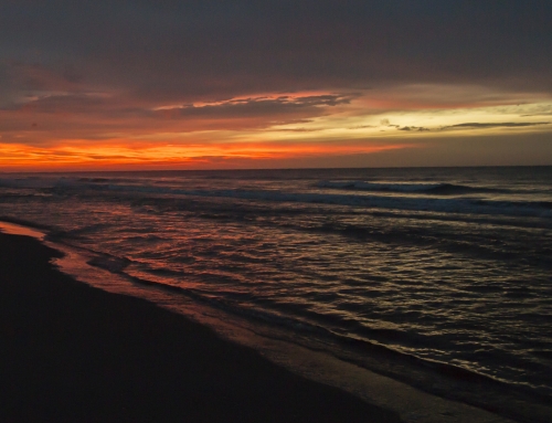 Ocean Waves In The Morning